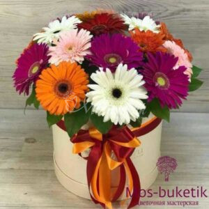 19 гербер в коробке