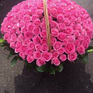 Корзина из 151 розовой розы