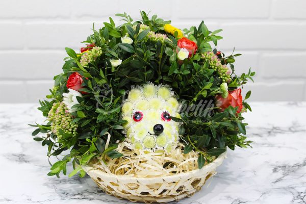 🦔Ёжик из живых цветов🦔 — изображение 6