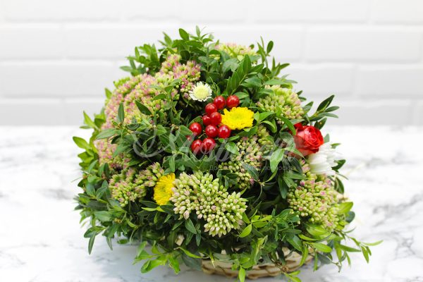 🦔Ёжик из живых цветов🦔 — изображение 5