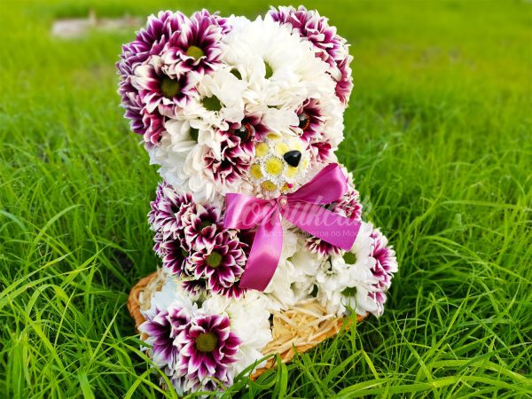 🐼Мишка из живых цветов🐼