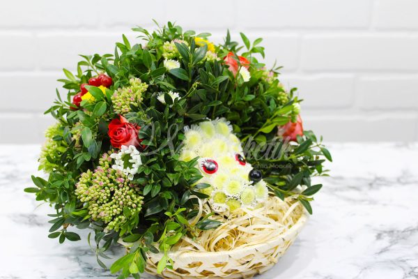 🦔Ёжик из живых цветов🦔 — изображение 3