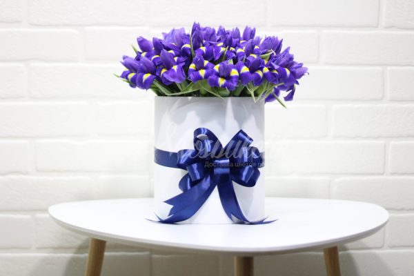 51 синих ирисов в коробке — изображение 4