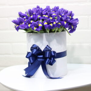 51 синих ирисов в коробке