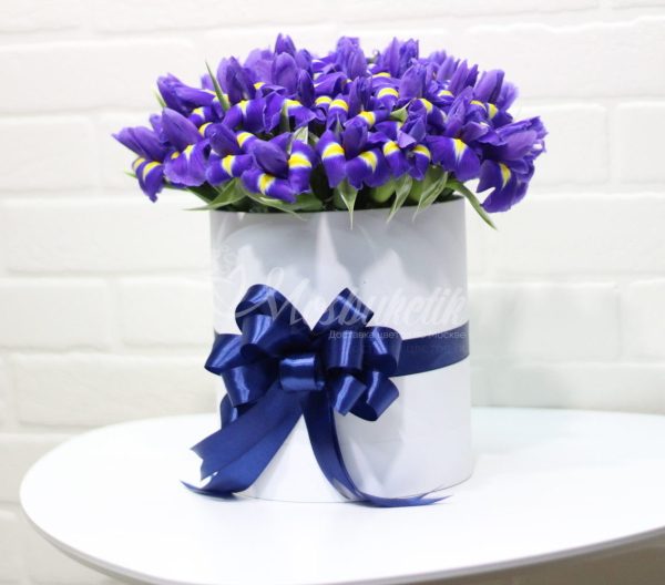 51 синих ирисов в коробке