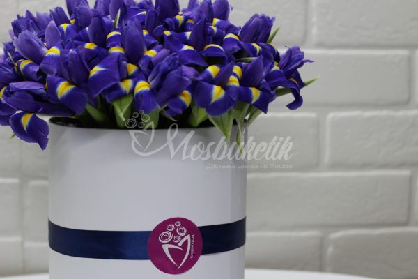 51 синих ирисов в коробке — изображение 2