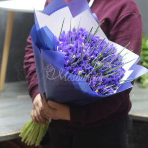 Букет из 51 ирисов