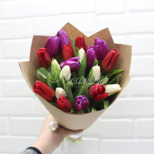 25 микс тюльпанов