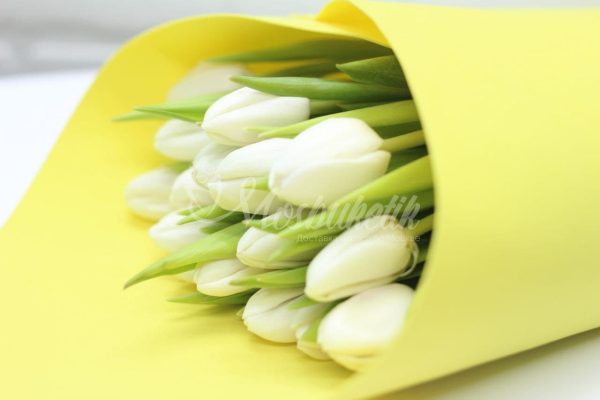 Букет из 29 белых тюльпанов — изображение 2