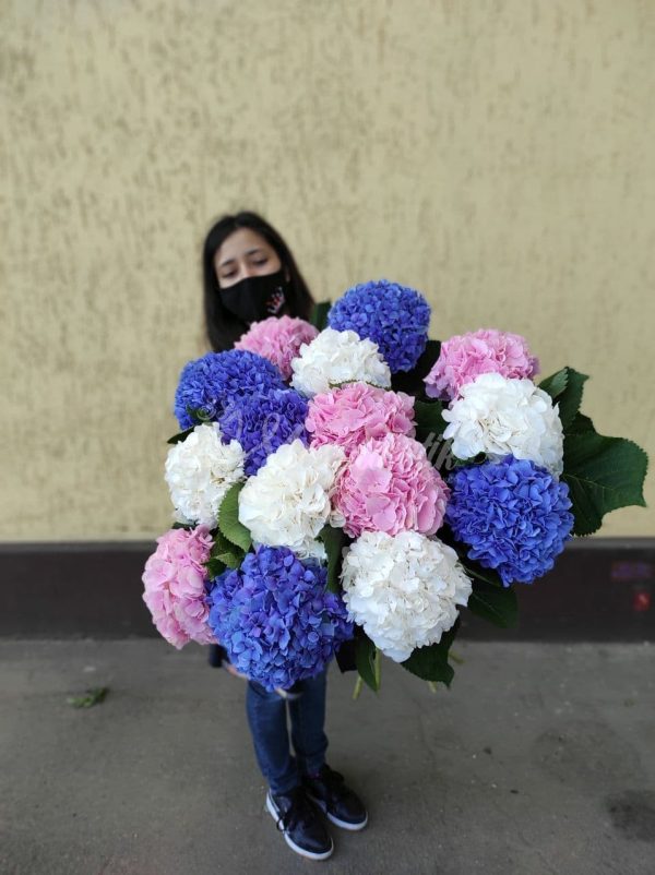 Букет из 15 голландских гортензий — изображение 3