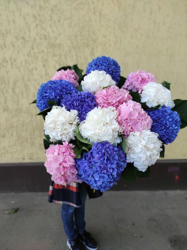 Букет из 15 голландских гортензий — изображение 4