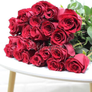 Букет из 25 эквадорских роз в ленте