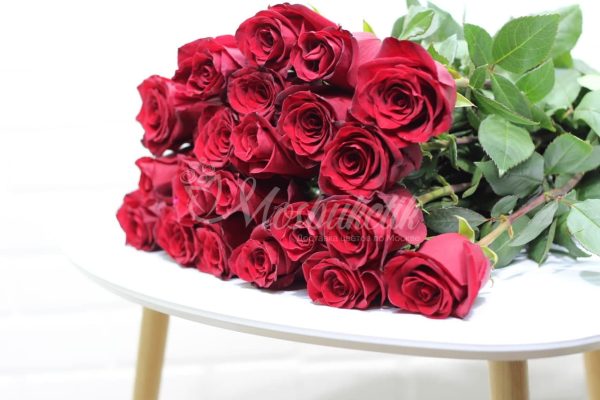 Букет из 25 эквадорских роз в ленте