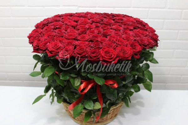 101 красных роз в корзине