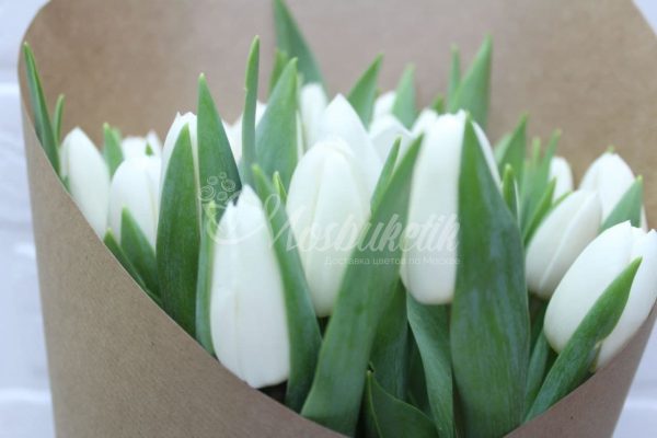 Букет из 21 белых тюльпанов