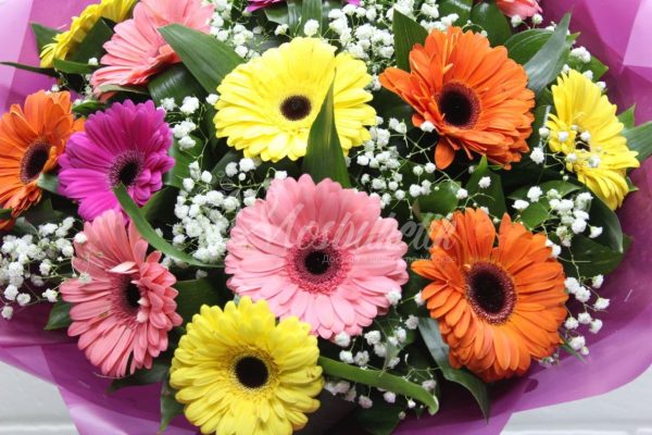 Авторский букет из 15 гербер с зеленью — изображение 3