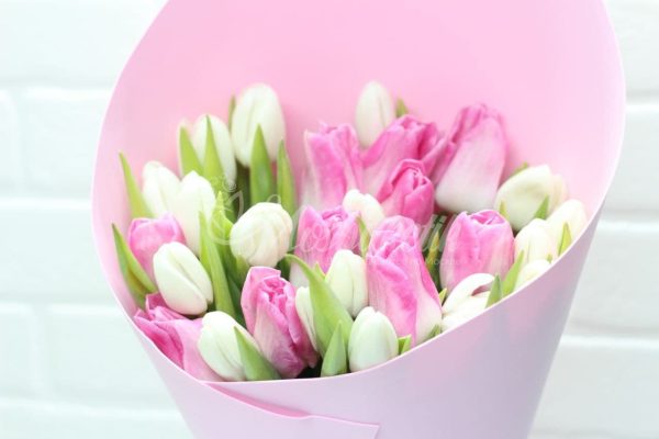 Букет из 25 бело-розовых тюльпанов
