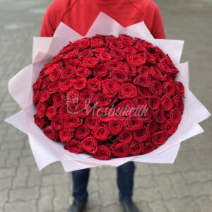Букет из 101 красных роз 50 см