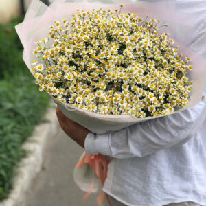 Букет из 49 кустовых ромашек