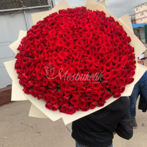 Букет из 251 красных роз 70 см