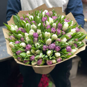 Букет из 101 белых и фиолетовых тюльпанов