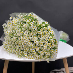 Букет из 49 ромашек