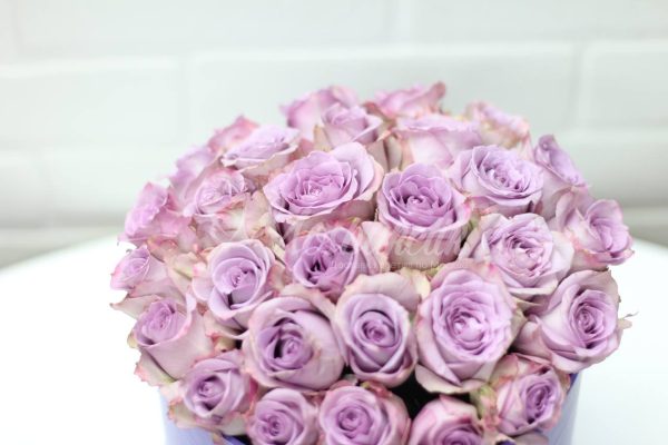 19 сиреневых роз в коробке — изображение 2