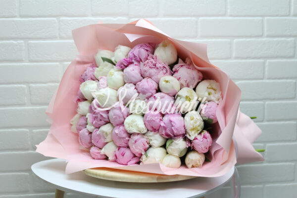 Букет из 101 микс пионов