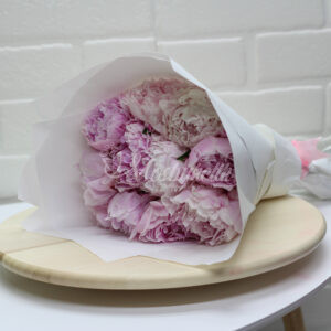 Букет из 11 пионов Сара Бернард