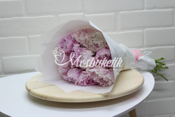 Букет из 11 пионов Сара Бернард