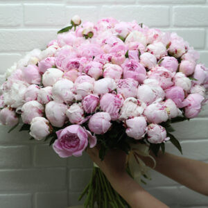 Букет из 101 пионов Сара Бернард