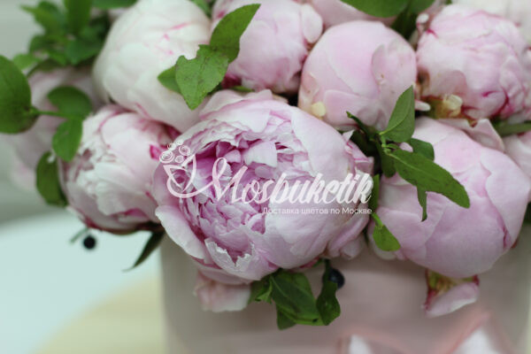 Букет из 19 розовых пионов в коробке — изображение 2