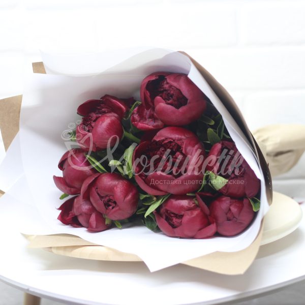 Букет из 9 красных пионов