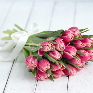 Букет из 19 пионовидных тюльпанов Колумбус