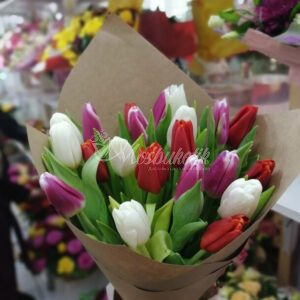 Букет из 19 микс тюльпанов