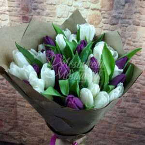 Букет из 45 белых и фиолетовых тюльпанов