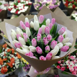 Букет из 51 белых и розовых тюльпанов