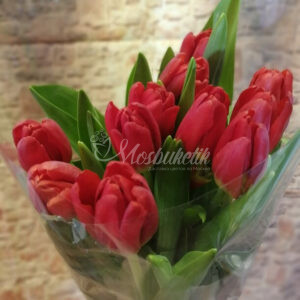 Букет из 11 красных тюльпанов на корпоратив