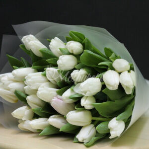 Букет из 31 белых тюльпанов