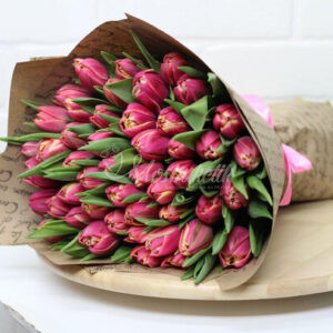Букет из 49 пионовидных тюльпанов Колумбус
