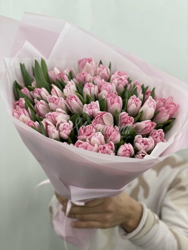Букет из 49 нежно-розовых пионовидных тюльпанов