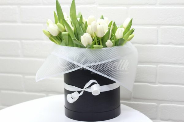 51 белых тюльпанов в коробке