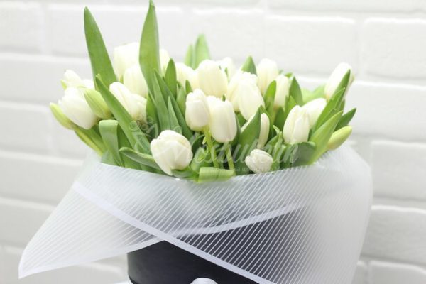 51 белых тюльпанов в коробке — изображение 4