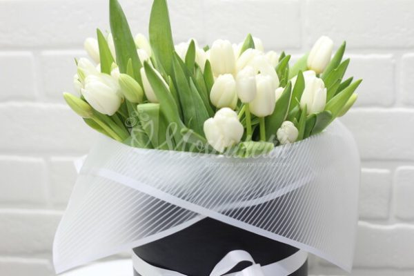 51 белых тюльпанов в коробке — изображение 2