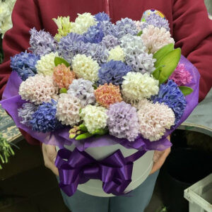 25 микс гиацинтов в коробке