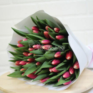 Букет из 49 тёмно-розовых тюльпанов