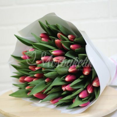 Букет из 49 тёмно-розовых тюльпанов