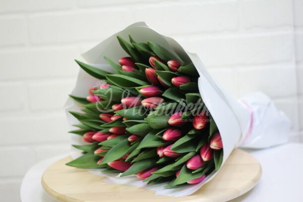 Букет из 49 тёмно-розовых тюльпанов