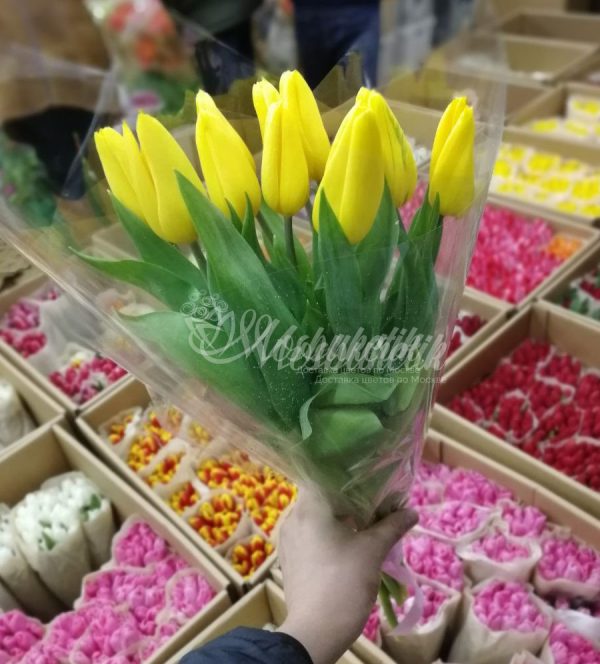 Букет из 9 жёлтых тюльпанов на корпоратив