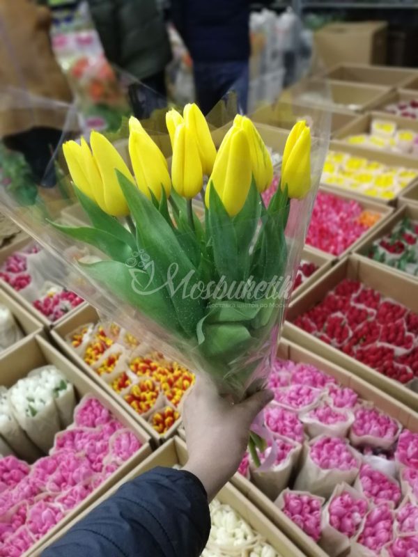 Букет из 9 жёлтых тюльпанов на корпоратив — изображение 3